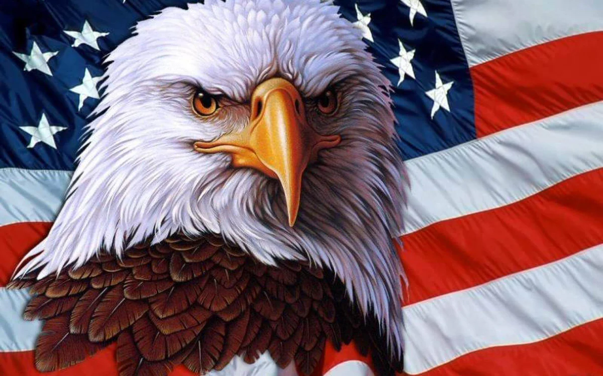 Official American Flag